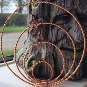 EMF Protectors and Lifeforce Maximizers